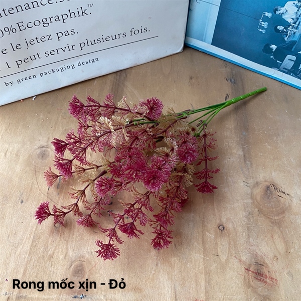 Rong mốc xịn - Đỏ - Lá cành ngắn - Hoa Lụa Vân Vượng