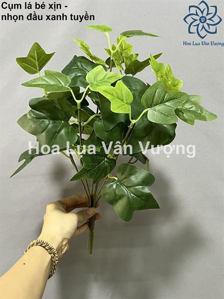 Cụm lá bé xịn - nhọn đầu xanh tuyền - Lá cành ngắn - Hoa Lụa Vân Vượng