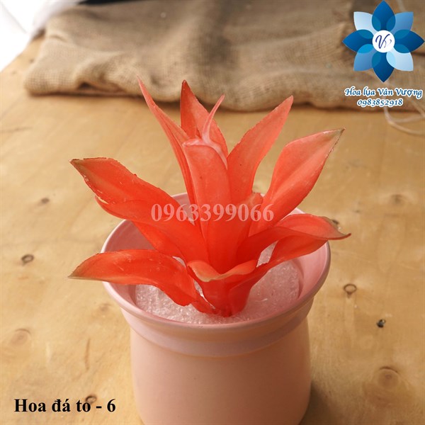 Hoa đá to - Hoa đá - Hoa Lụa Vân Vượng