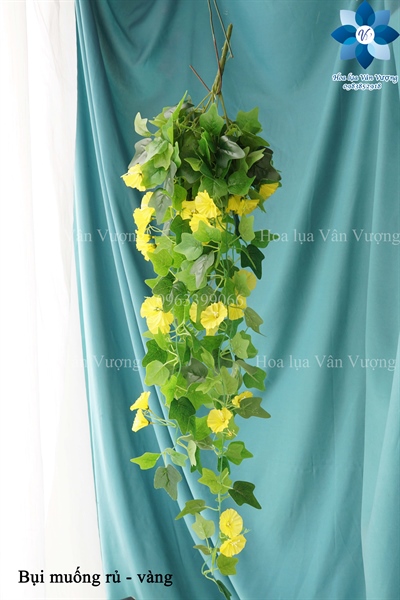 Bụi muống rủ - vàng - Rủ - Hoa Lụa Vân Vượng