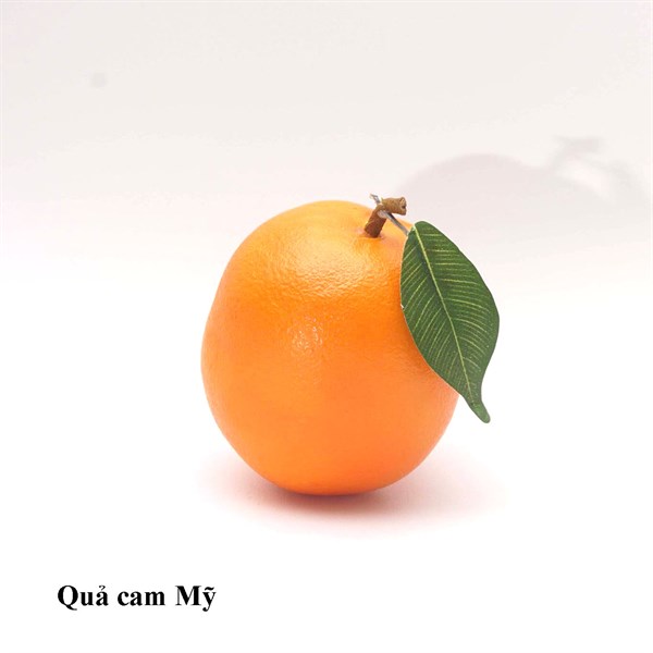 Cam Mỹ vàng - Quả và dây quả - Hoa Lụa Vân Vượng