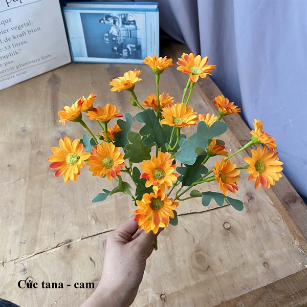Cúc tana - Cam - Hoa cành ngắn - Hoa Lụa Vân Vượng