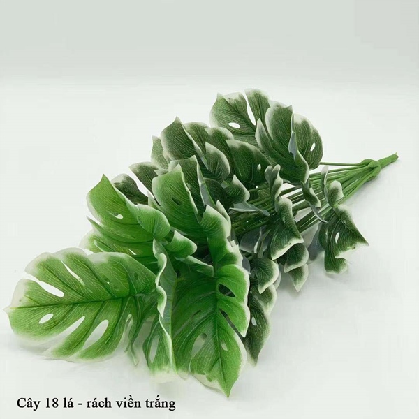 Cây 18 lá - rách viền trắng - Cây - Hoa Lụa Vân Vượng