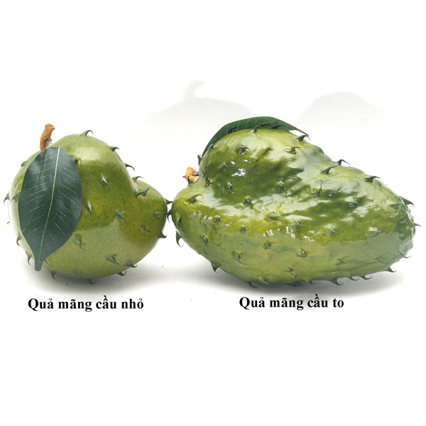 Quả mãng cầu to - Quả và dây quả - Hoa Lụa Vân Vượng