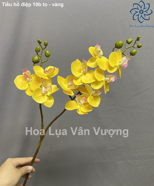 Tiểu hồ điệp 10b to - vàng - Hồ điệp, lan - Hoa Lụa Vân Vượng