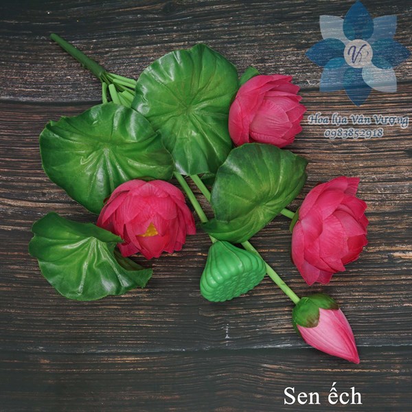 Sen ếch - hồng - Sen - Hoa Lụa Vân Vượng