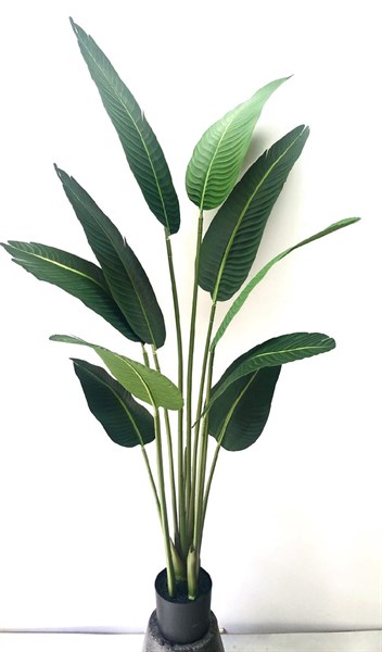 Cây chuối 1,6m 10 lá mờ - Cây - Hoa Lụa Vân Vượng