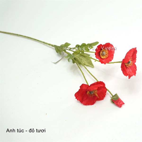 Anh túc - Đỏ - Hoa cành dài - Hoa Lụa Vân Vượng