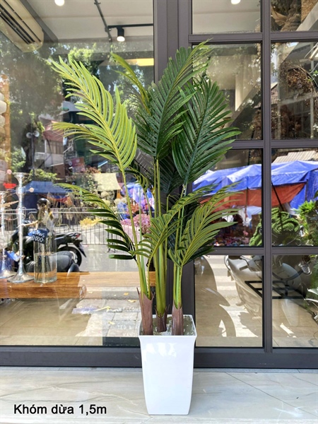 Khóm dừa 1,5m - Không chậu - Cây - Hoa Lụa Vân Vượng