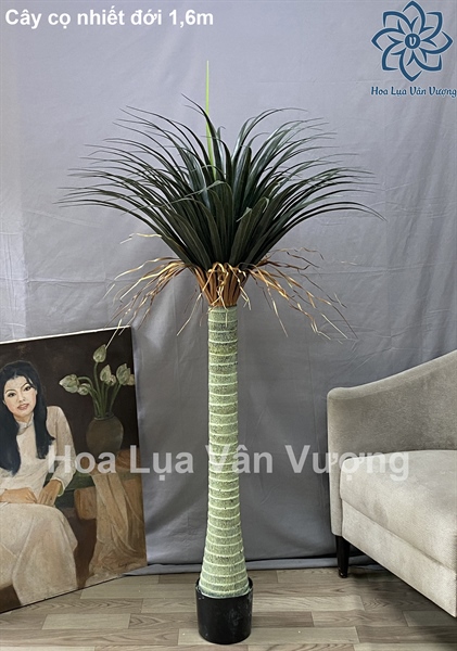 Cây cọ nhiệt đới 1,6m - Cây - Hoa Lụa Vân Vượng