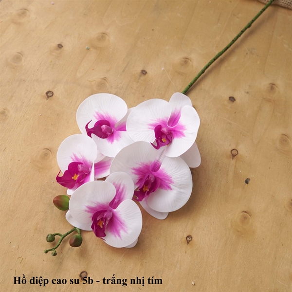 Hồ điệp cao su 5b - trắng nhị tím - Hồ điệp, lan - Hoa Lụa Vân Vượng