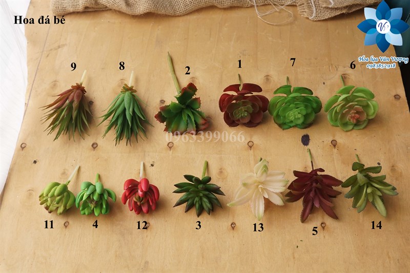 Hoa đá bé - 1 - Hoa đá - Hoa Lụa Vân Vượng