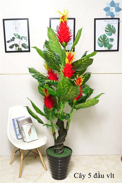 Cây 5 đầu vlt - Cây - Hoa Lụa Vân Vượng