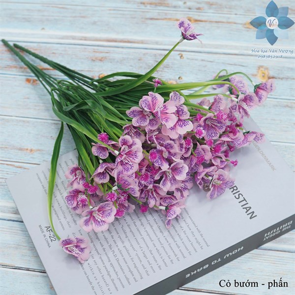 Cỏ bướm - Hoa cành ngắn - Hoa Lụa Vân Vượng