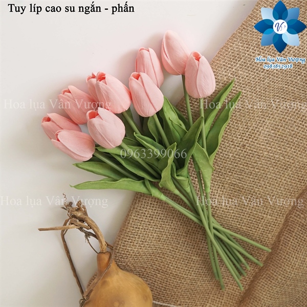 Tuy líp cao su ngắn - Hoa cành ngắn - Hoa Lụa Vân Vượng