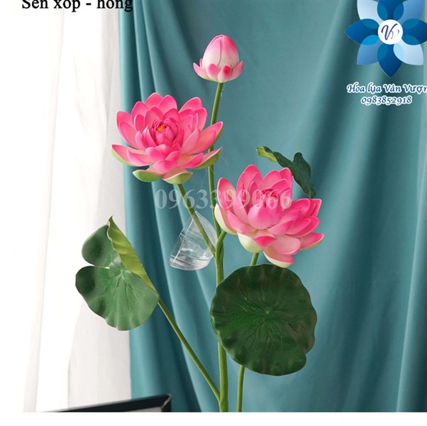 Sen xốp - Hồng - Sen - Hoa Lụa Vân Vượng