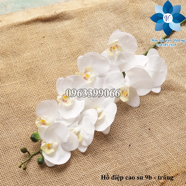 Hồ điệp cao su 9b - trắng - Hồ điệp, lan - Hoa Lụa Vân Vượng