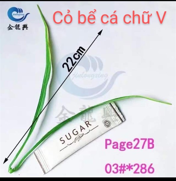 cỏ bể cá chữ V - cỏ bể cá - Hoa Lụa Vân Vượng
