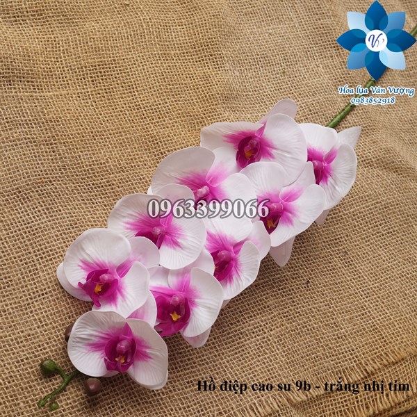 Hồ điệp cao su 9b - trắng nhị tím - Hồ điệp, lan - Hoa Lụa Vân Vượng