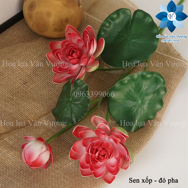 Sen xốp - đỏ pha - Sen - Hoa Lụa Vân Vượng