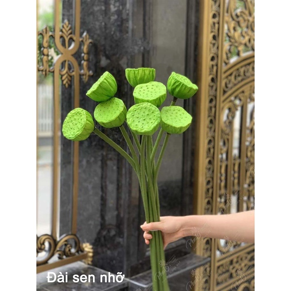 Đài sen nhỡ - Sen - Hoa Lụa Vân Vượng