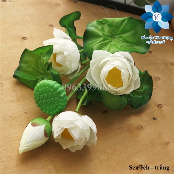 Sen ếch - Sen - Hoa Lụa Vân Vượng