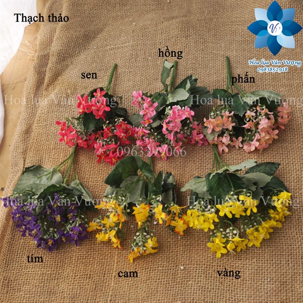 Thạch thảo - phấn - Hoa cành ngắn - Hoa Lụa Vân Vượng