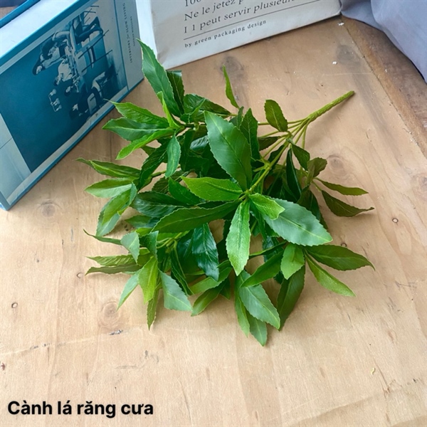 Cành lá răng cưa - Lá cành ngắn - Hoa Lụa Vân Vượng