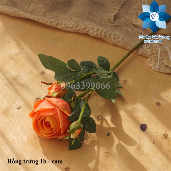Hồng trứng 1b - Hoa cành dài - Hoa Lụa Vân Vượng