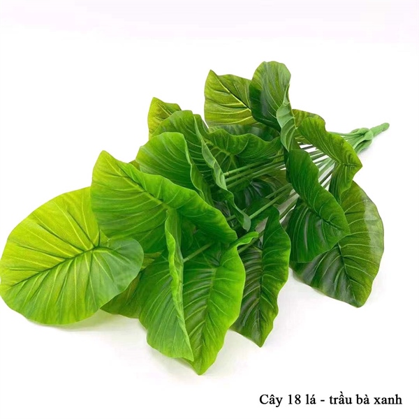 Cây 18 lá - Trầu bà xanh - Cây - Hoa Lụa Vân Vượng