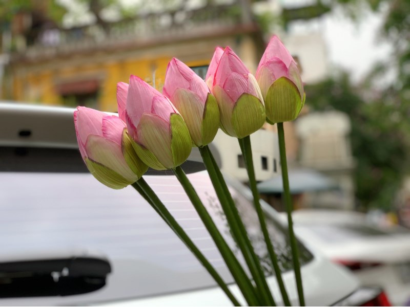 Nụ sen quan âm - Sen - Hoa Lụa Vân Vượng
