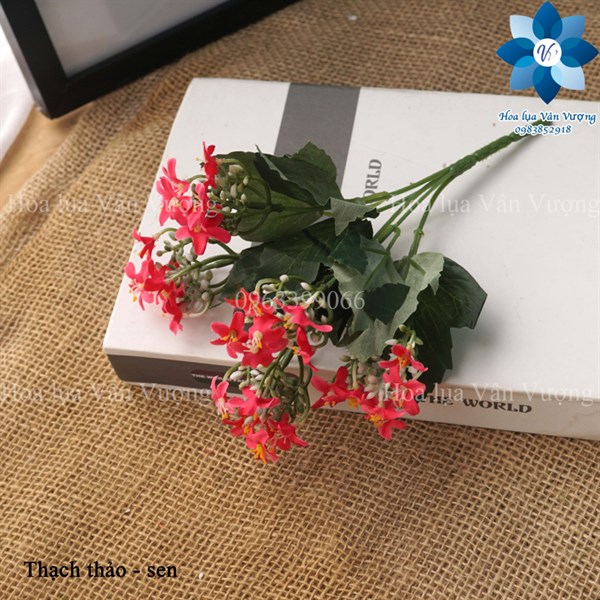 Thạch thảo - sen - Hoa cành ngắn - Hoa Lụa Vân Vượng