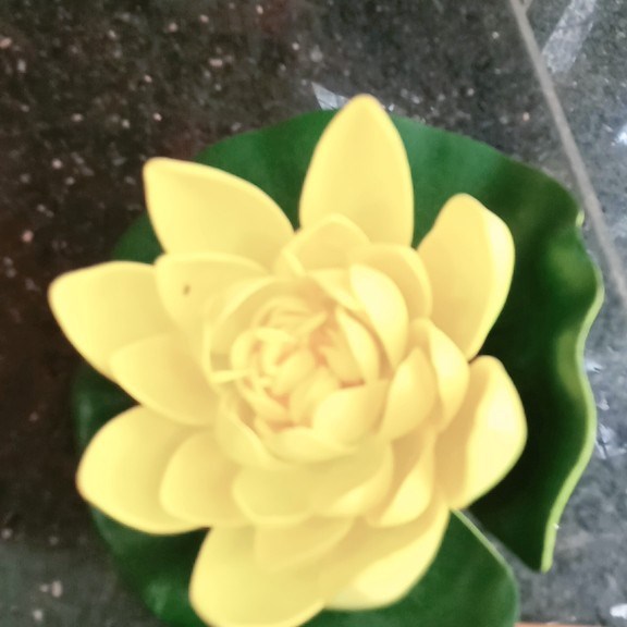 Kép to - vàng - Sen - Hoa Lụa Vân Vượng