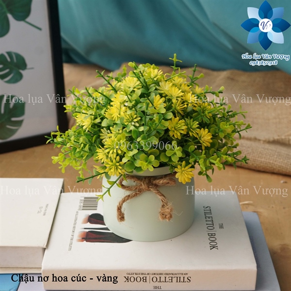 Chậu nơ hoa cúc - Vàng - Chậu để bàn - Hoa Lụa Vân Vượng