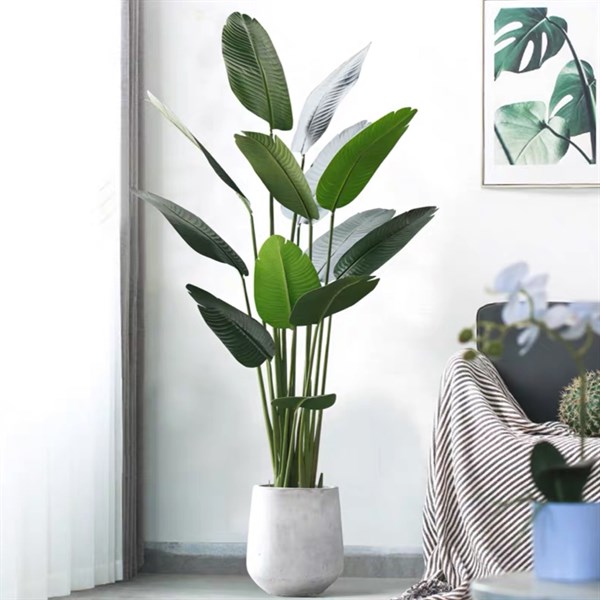Cây chuối 1,8m 13 lá mờ - Cây - Hoa Lụa Vân Vượng
