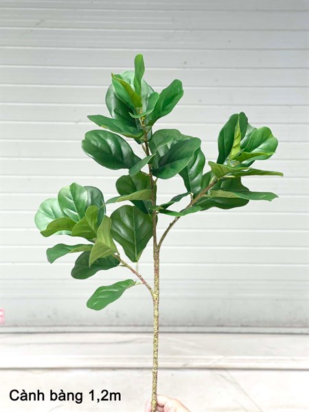 Cành bàng 1,2m - Cây - Hoa Lụa Vân Vượng