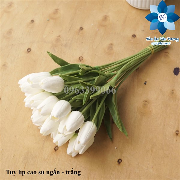 Tuy líp cao su ngắn - Trắng - Hoa cành ngắn - Hoa Lụa Vân Vượng