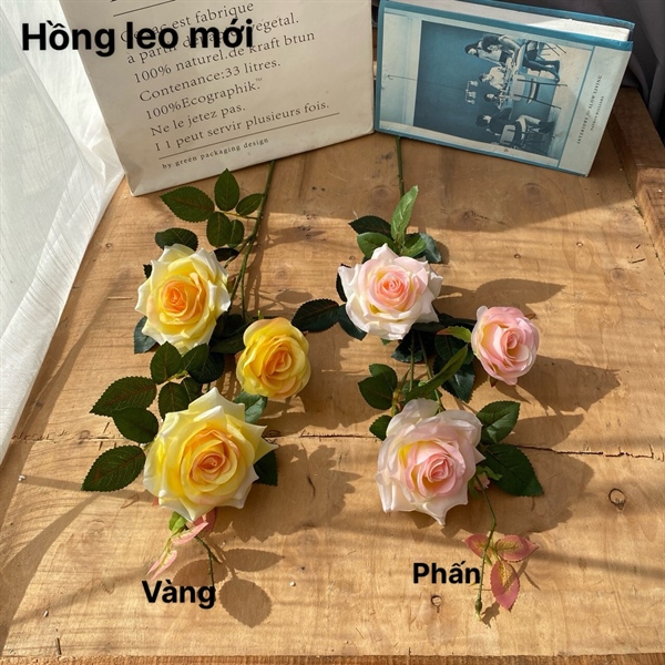 Hồng leo mới - phấn - Hoa cành dài - Hoa Lụa Vân Vượng