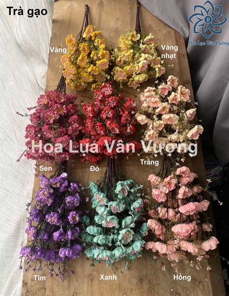 Trà gạo - Hoa cành dài - Hoa Lụa Vân Vượng