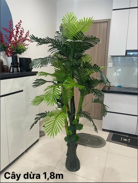 Cây dừa 1,8m - Cây - Hoa Lụa Vân Vượng