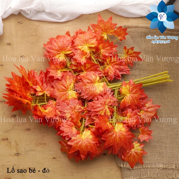 Lố sao bé - Lố lá và lố hoa - Hoa Lụa Vân Vượng