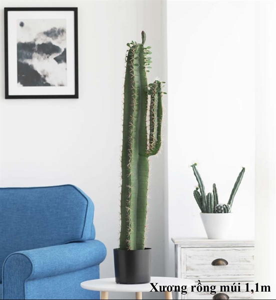 Xương rồng múi 1,1m - Cây - Hoa Lụa Vân Vượng