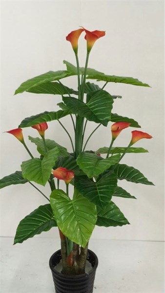 Cây rum 9b - Cây - Hoa Lụa Vân Vượng