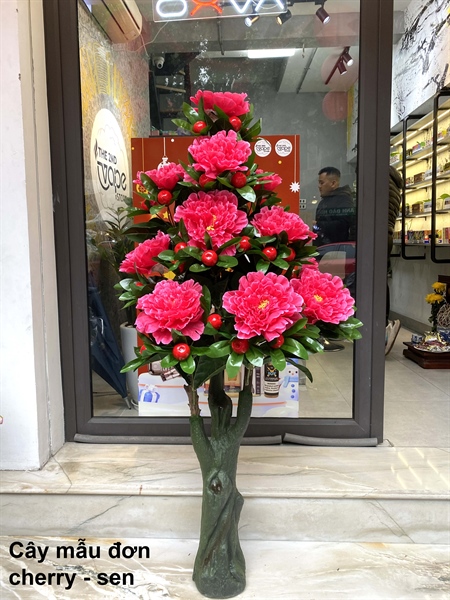 Cây mẫu đơn cherry - Sen - Cây - Hoa Lụa Vân Vượng