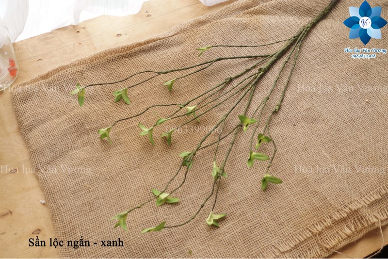 Sần lộc ngắn - Lá cành dài - Hoa Lụa Vân Vượng