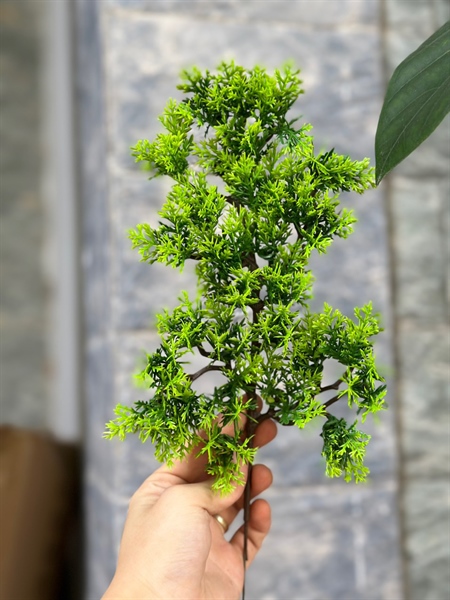 Cành tùng nhỡ - Lá cành ngắn - Hoa Lụa Vân Vượng