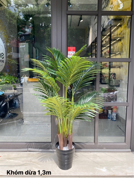 Khóm dừa 1,3m - Cây - Hoa Lụa Vân Vượng