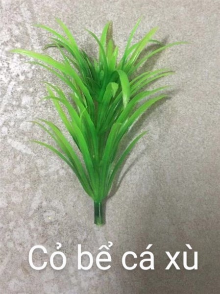cỏ bể cá xù - cỏ bể cá - Hoa Lụa Vân Vượng