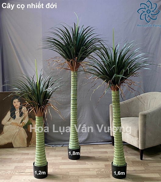Cây cọ nhiệt đới 1,8m - Cây - Hoa Lụa Vân Vượng