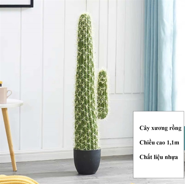 Cây xương rồng 1,1m - Cây - Hoa Lụa Vân Vượng